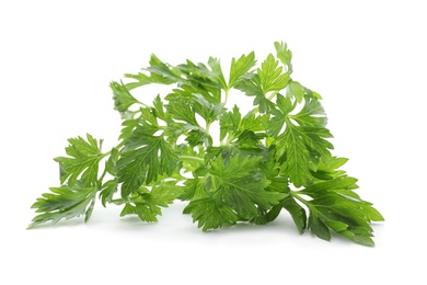 Photo of Fresh green parsley on white background