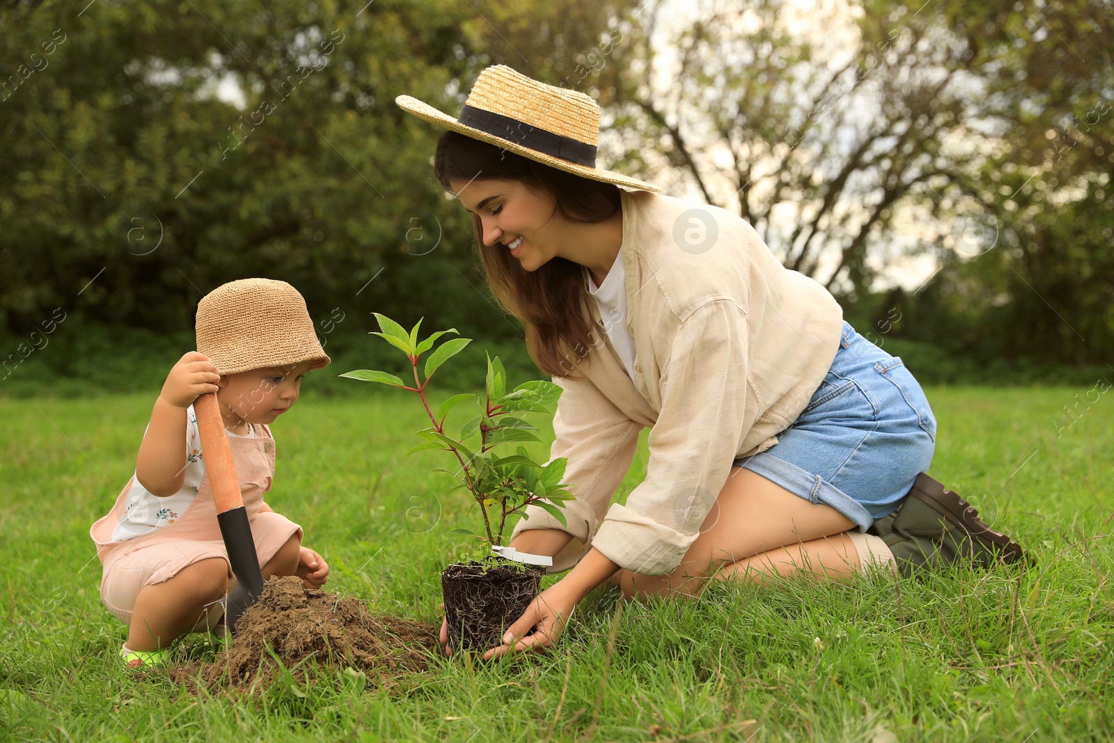 Photo of Mother and her baby daughter planting tree together in garden