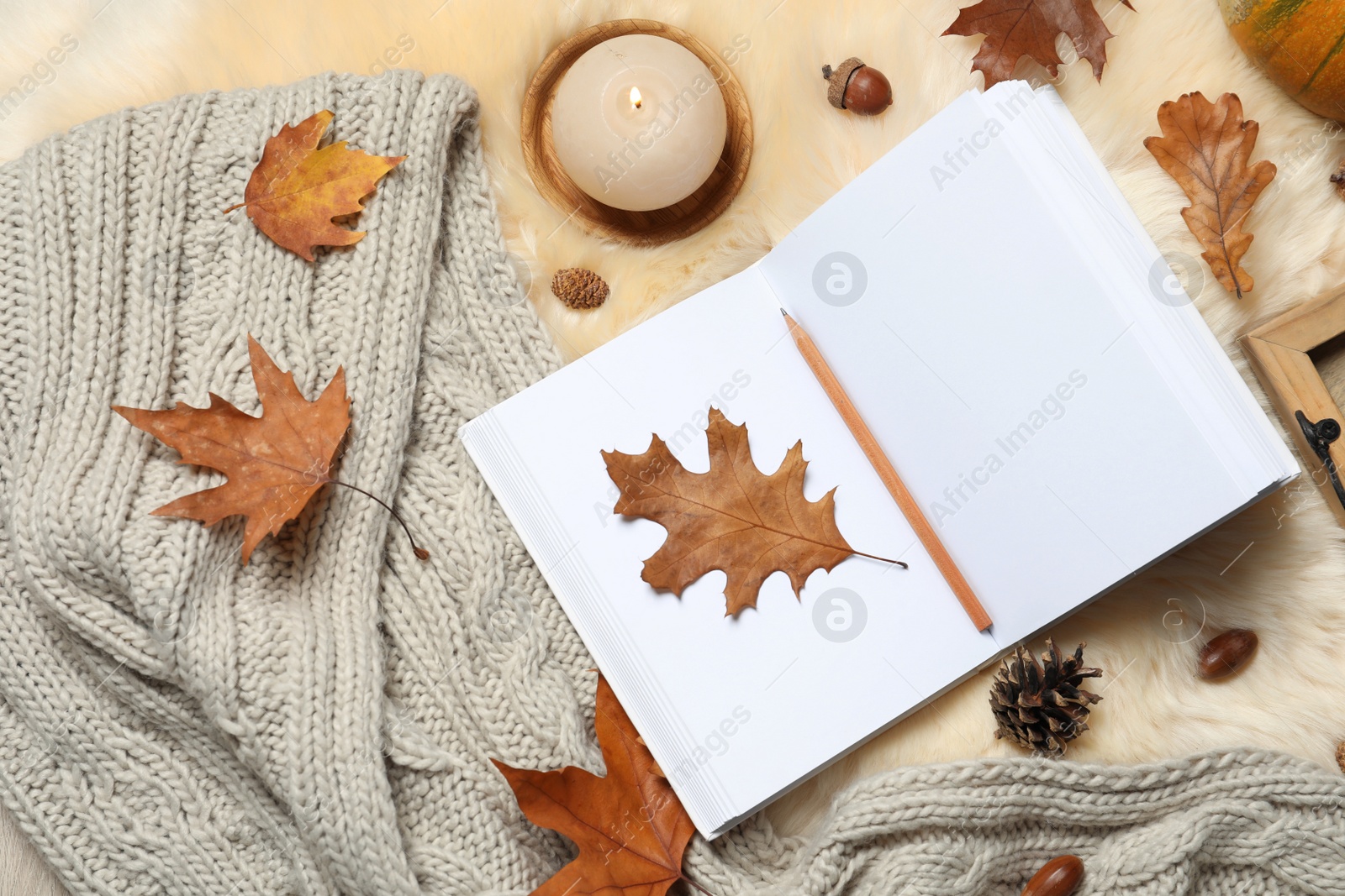 Photo of Flat lay composition with book, autumn leaves and warm blanket on fuzzy rug. Space for text