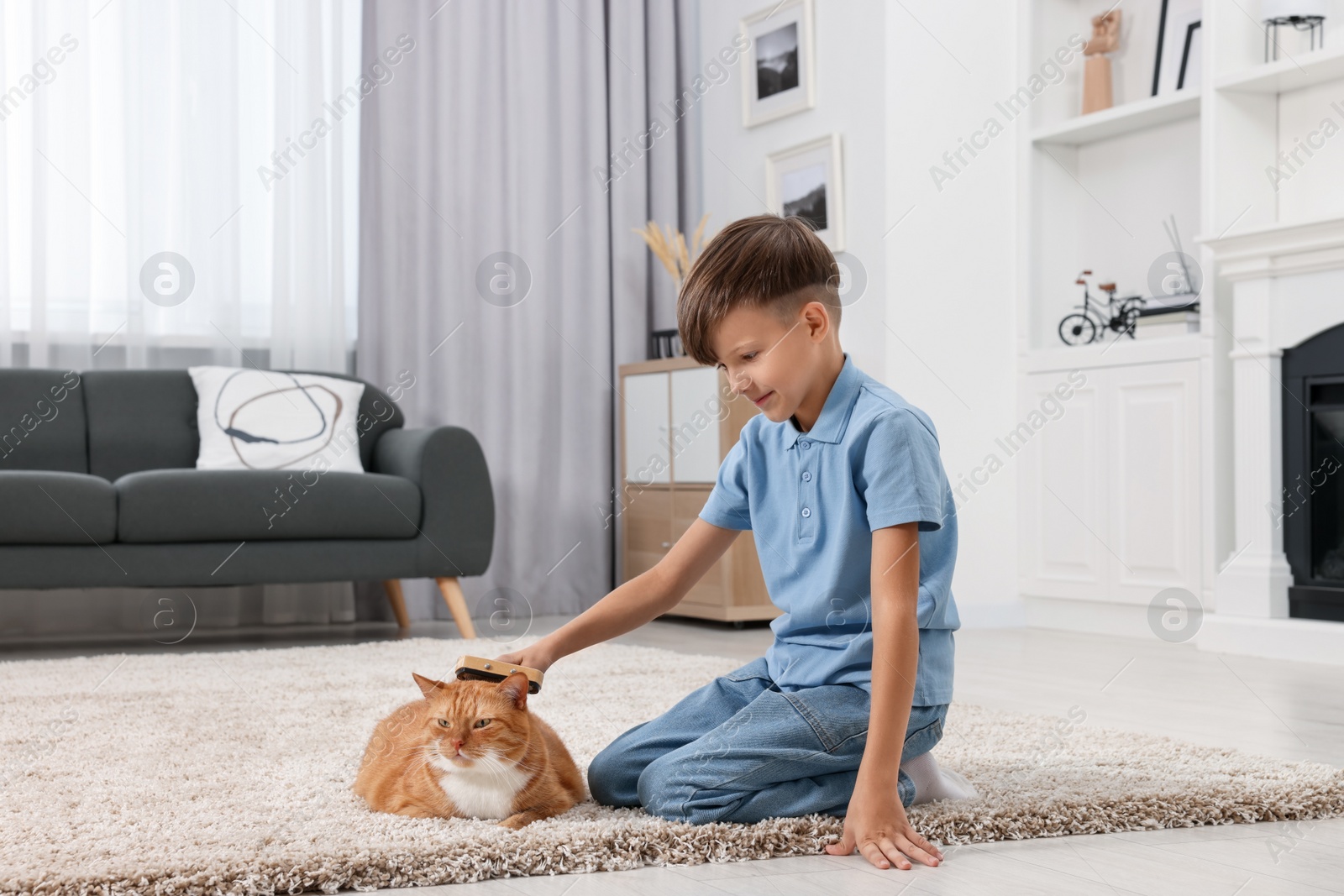 Photo of Little boy brushing cute ginger cat's fur on soft carpet at home