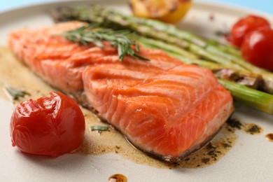 Tasty grilled salmon with tomatoes, asparagus and spices on plate, closeup