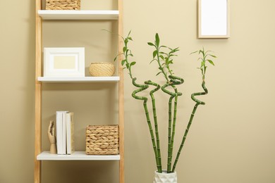Photo of Vase with green bamboo stems and decorative ladder near beige wall. Interior design