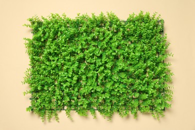 Photo of Green artificial plants on beige background, top view