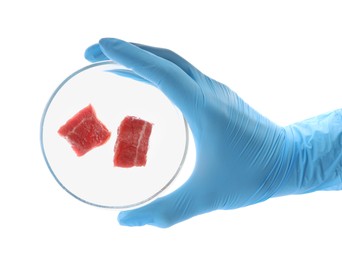 Photo of Scientist holding Petri dish with pieces of raw cultured meat on white background, top view