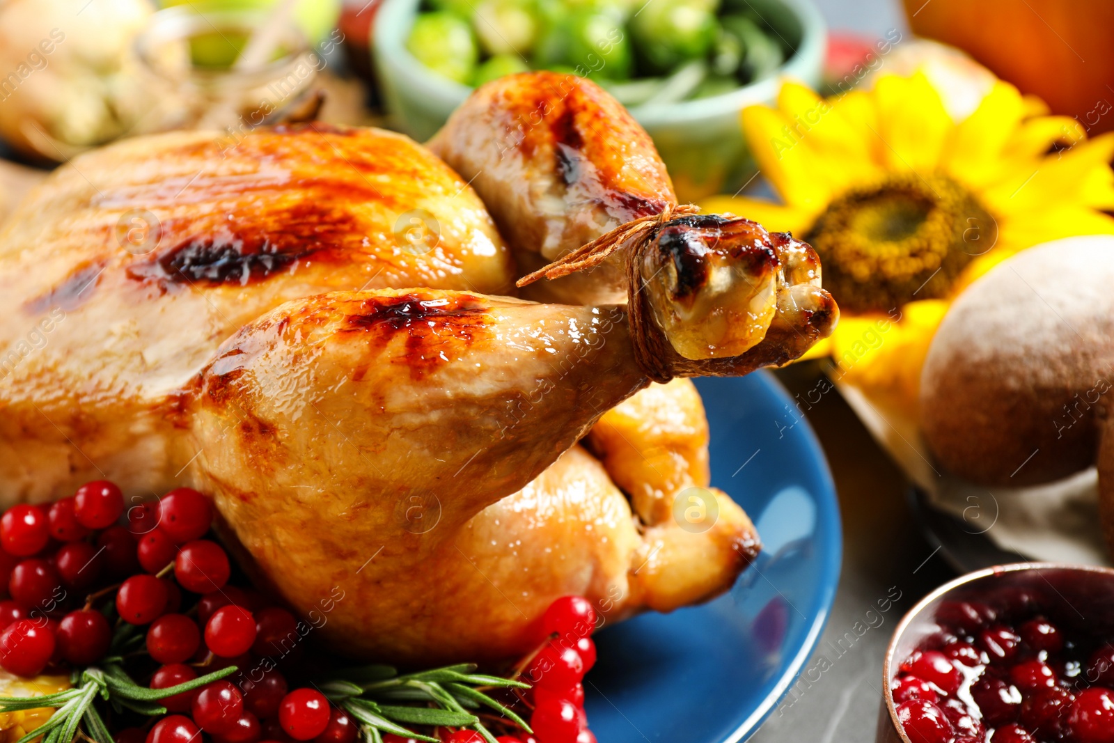 Photo of Plate with delicious turkey on grey background, closeup. Happy Thanksgiving day