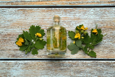 Photo of Bottle of celandine tincture and plant on light blue wooden table, flat lay