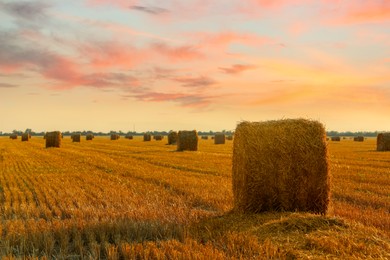 Hay bales in golden field under beautiful sky at sunset