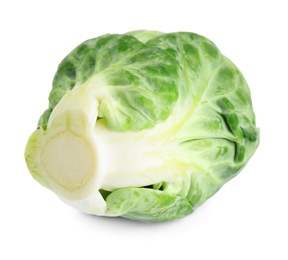 Fresh tasty Brussels sprout isolated on white