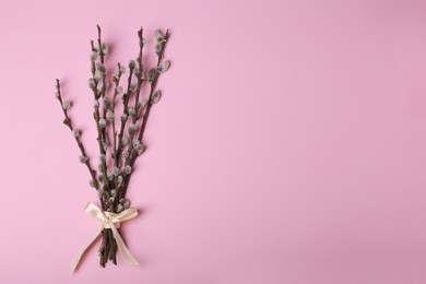 Photo of Beautiful blooming willow branches on pink background, top view. Space for text
