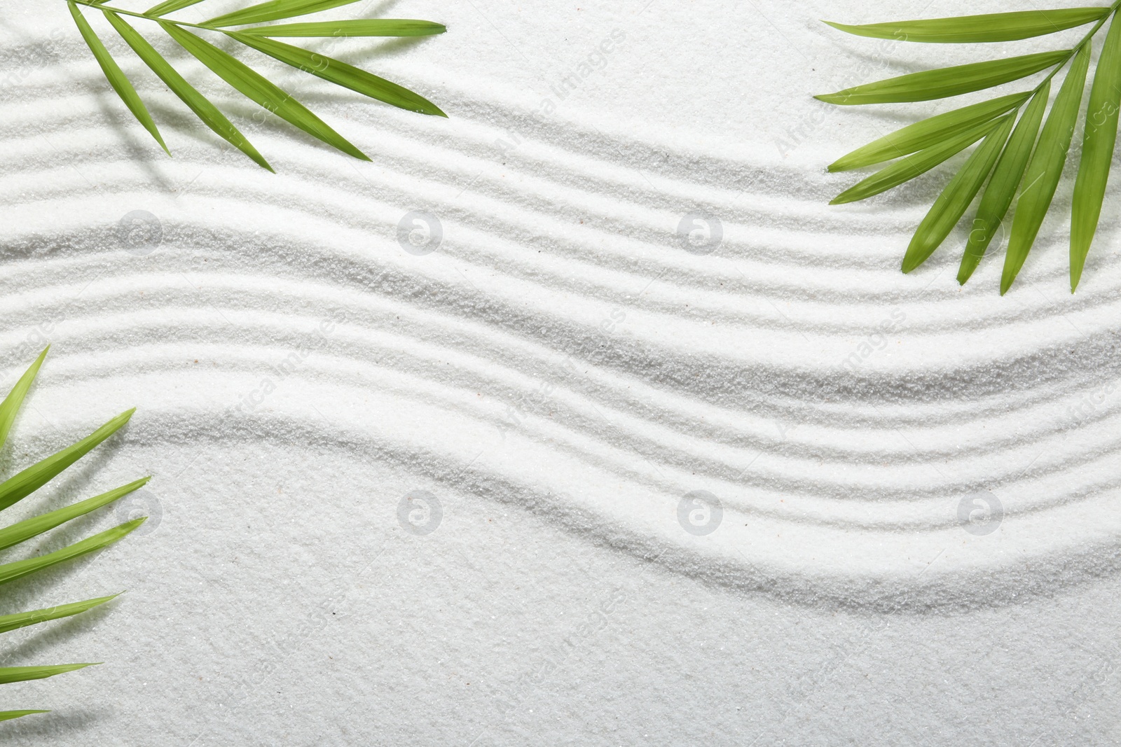 Photo of Zen rock garden. Wave pattern and green leaves on white sand, top view