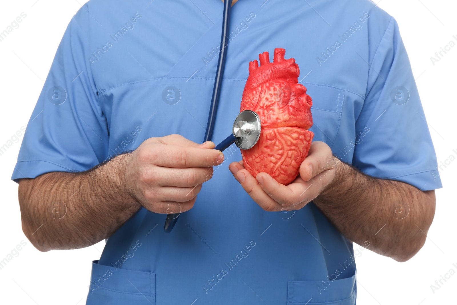 Photo of Doctor with stethoscope and model of heart on white background, closeup. Cardiology concept
