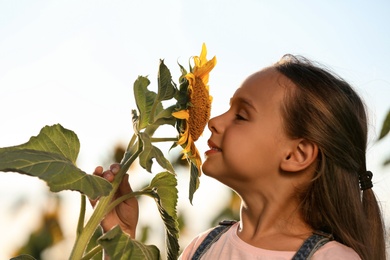 Photo of Cute little girl sniffing sunflower outdoors. Child spending time in nature
