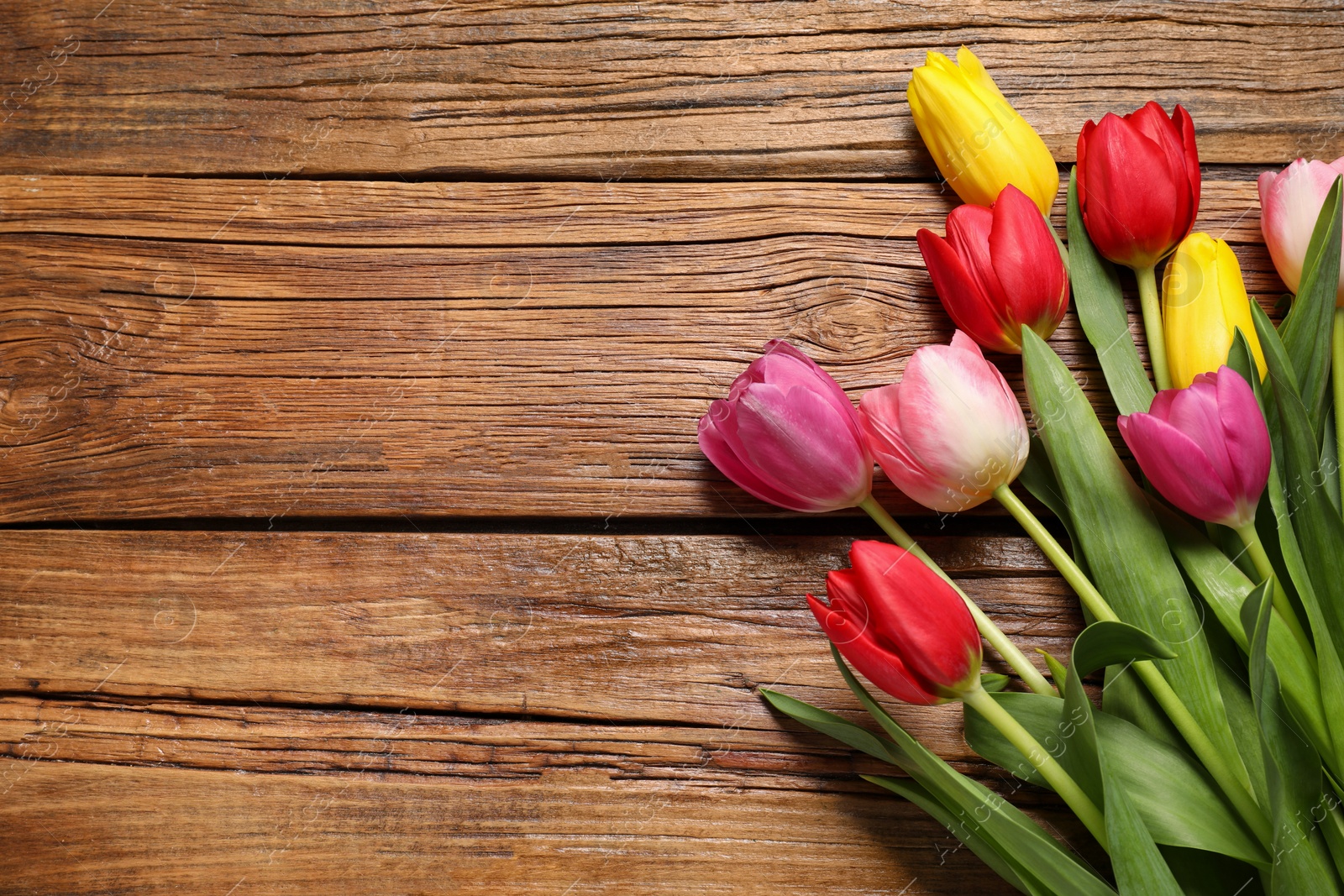 Photo of Beautiful colorful tulip flowers on wooden table, flat lay. Space for text