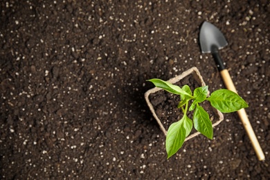 Vegetable seedling in peat pot and shovel on soil, top view. Space for text