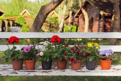 Photo of Different beautiful potted flowers on weathered white wooden bench in garden