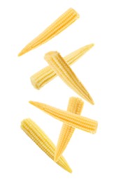Image of Tasty baby corn cobs flying on white background