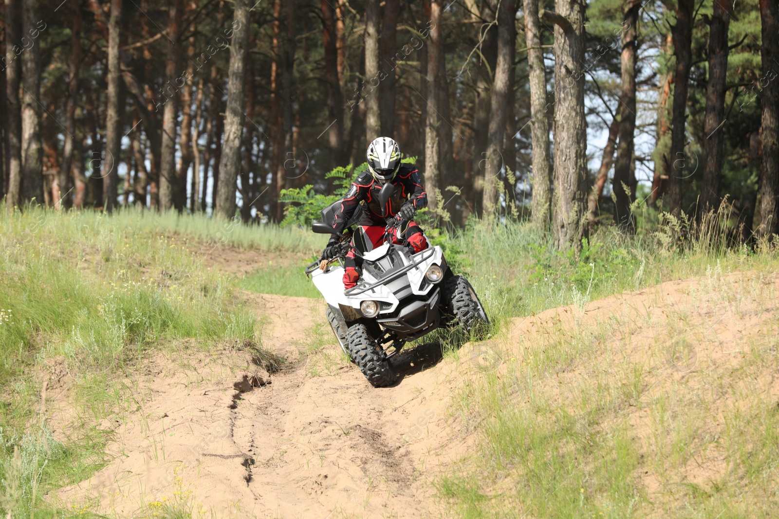 Photo of Man driving modern quad bike on sandy road near forest. Extreme sport