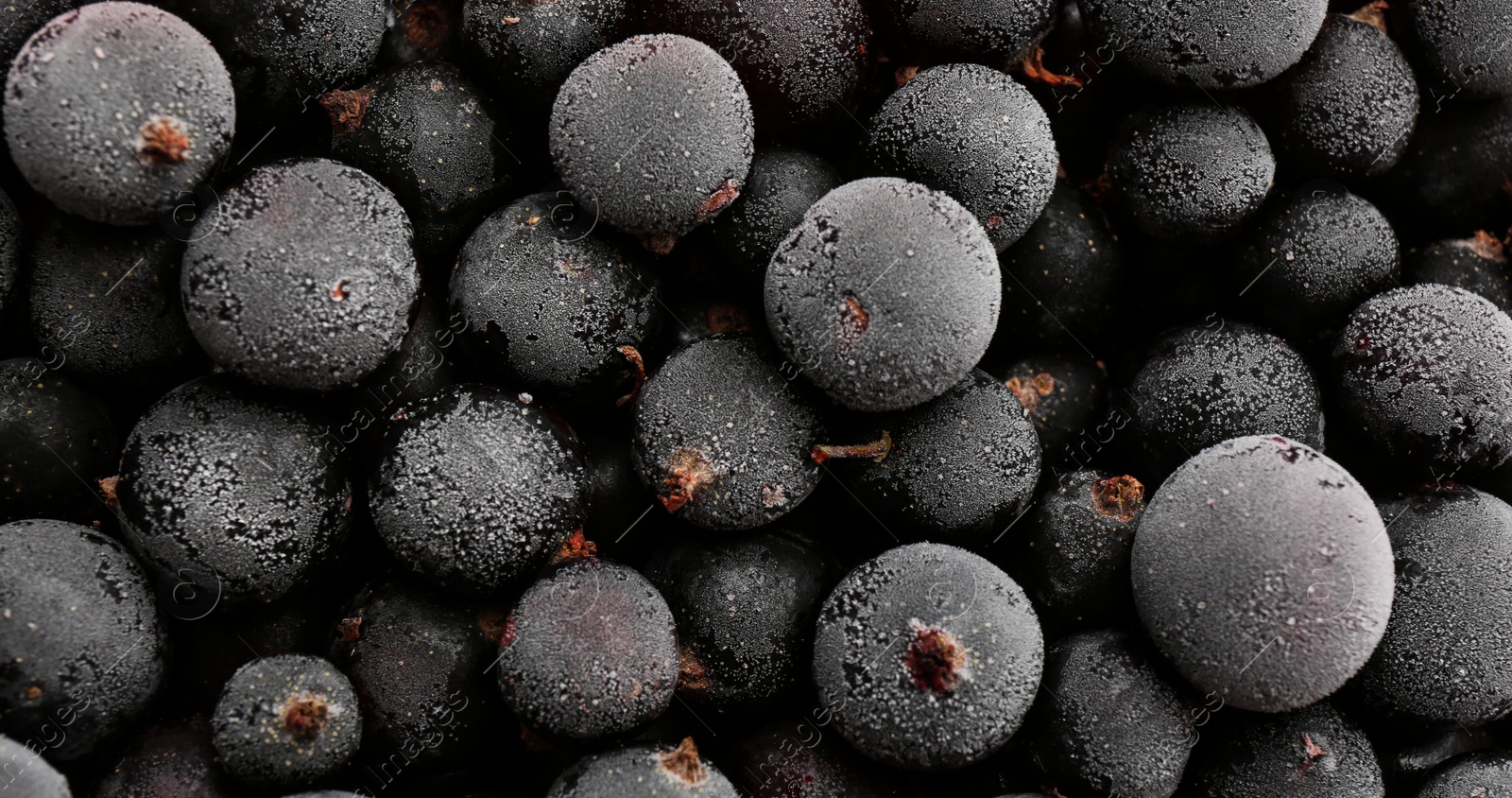 Photo of Tasty frozen black currants as background, top view