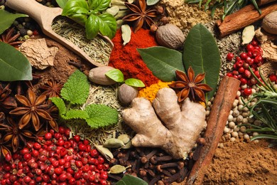 Different fresh herbs with aromatic spices as background, top view