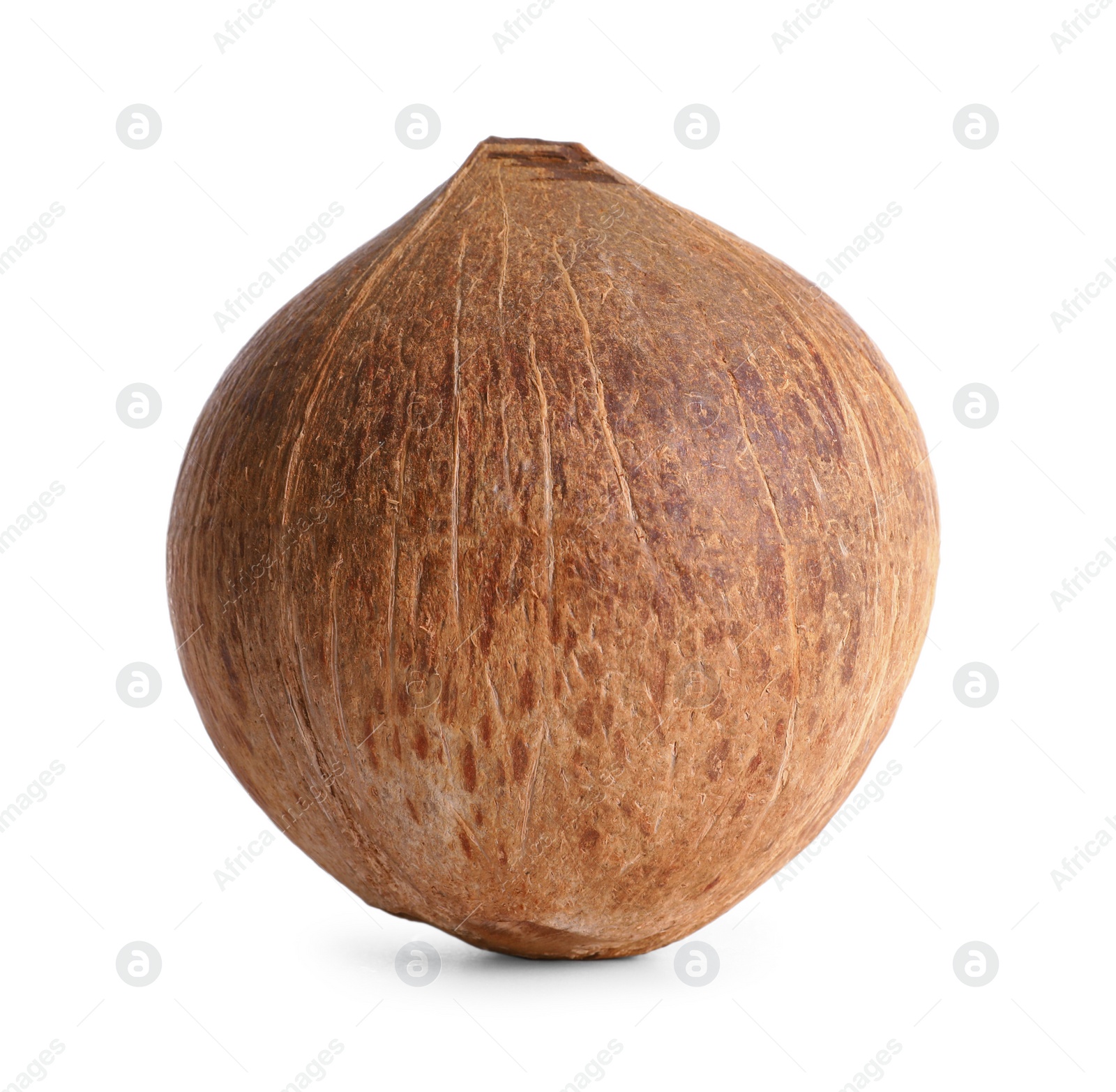 Photo of Ripe whole brown coconut on white background