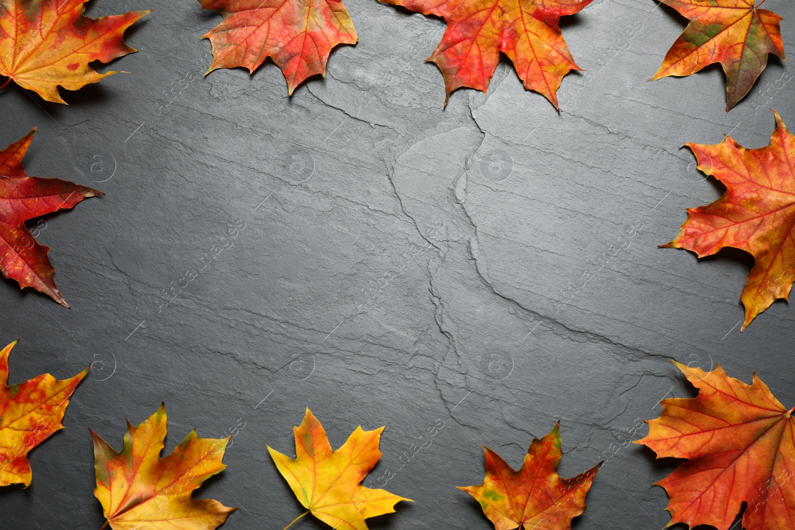 Photo of Frame made of autumn leaves on grey stone table, flat lay. Space for text