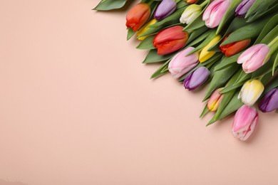 Photo of Beautiful colorful tulips on pale pink background, flat lay. Space for text