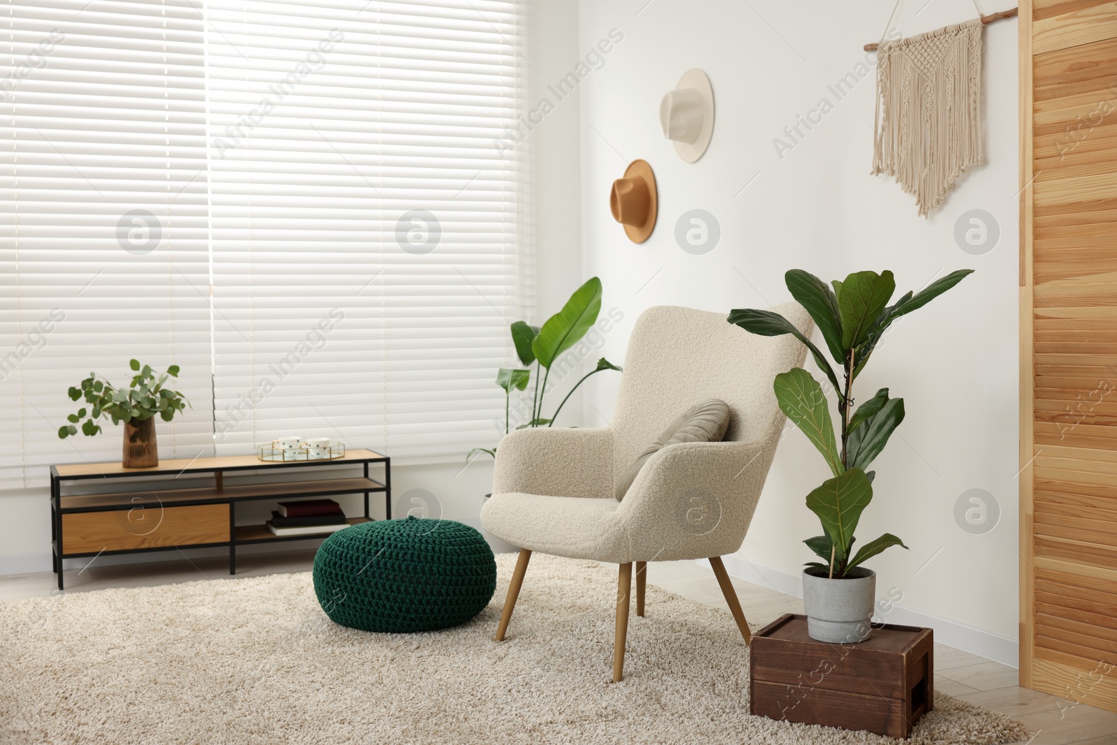 Photo of Comfortable armchair, pouf and houseplants in living room. Interior design