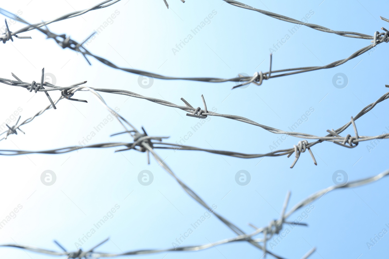 Photo of Shiny metal barbed wire on light background