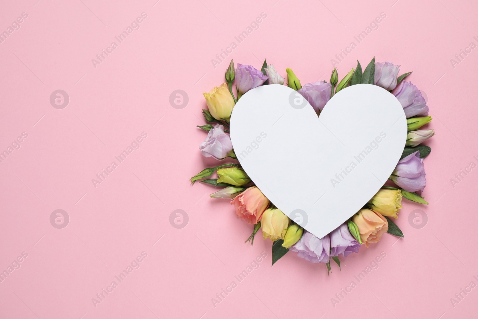 Photo of Flat lay composition with beautiful Eustoma flowers and card on pink background, space for text