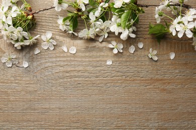 Photo of Spring branches with beautiful blossoms, leaves and petals on wooden table, flat lay. Space for text