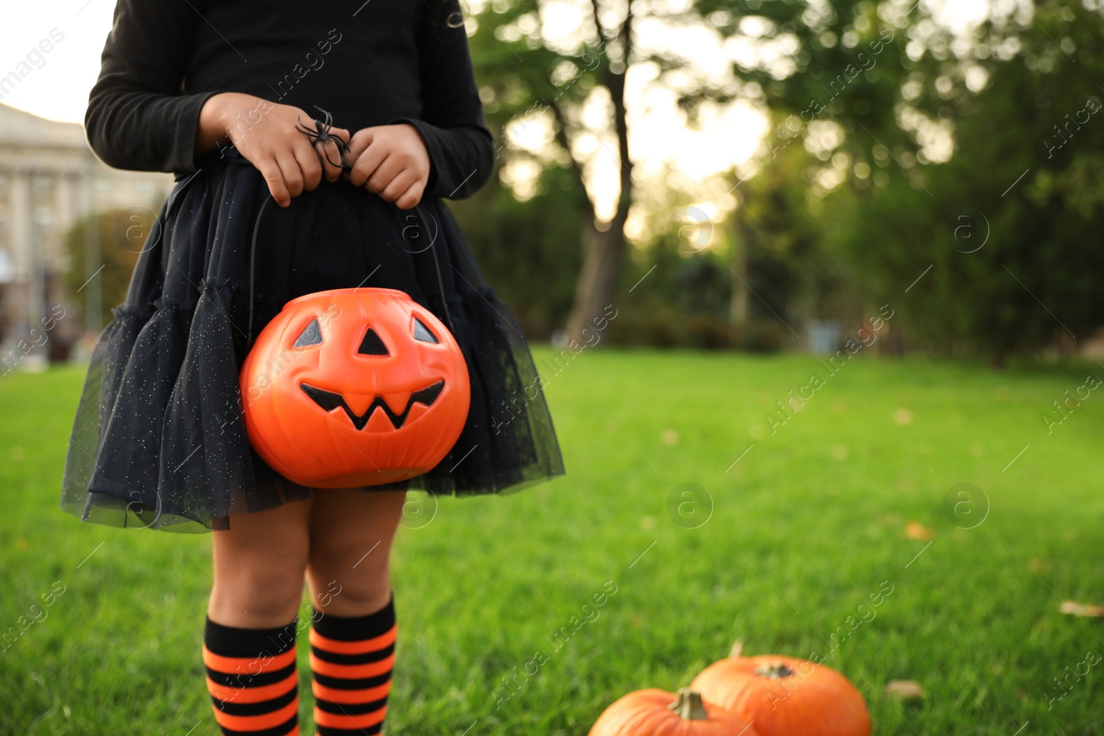 Photo of Little girl with pumpkin candy bucket wearing Halloween costume in park, closeup