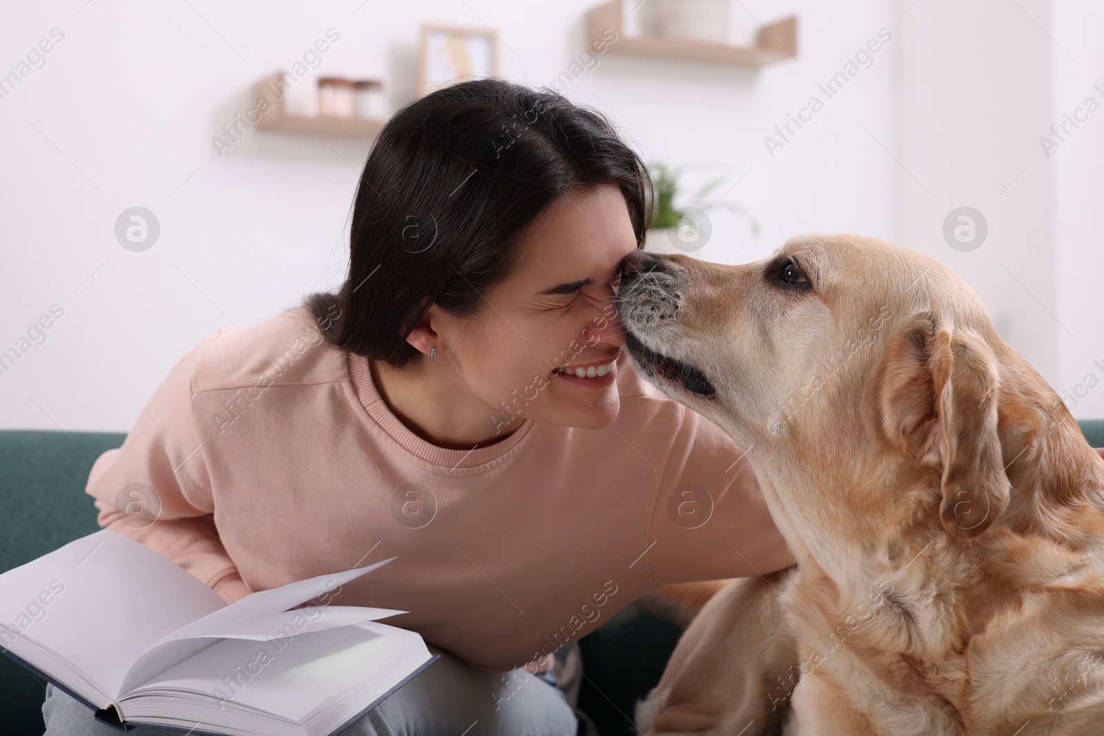 Photo of Happy woman sitting with cute Labrador Retriever on sofa at home