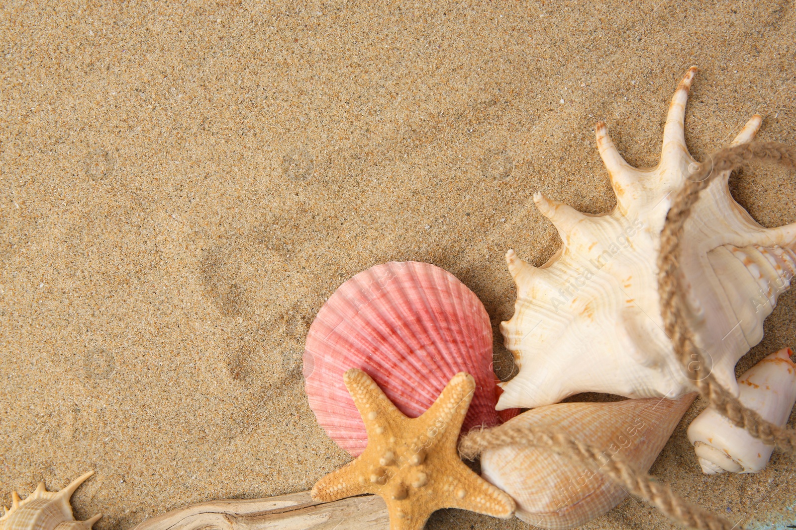 Photo of Beautiful starfish, rope and sea shells on sand, flat lay. Space for text