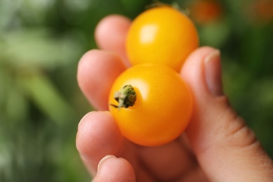 Photo of Woman holding ripe yellow cherry tomatoes against blurred background, closeup
