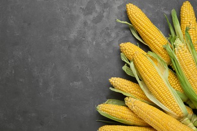 Tasty fresh corn cobs on grey table, flat lay. Space for text