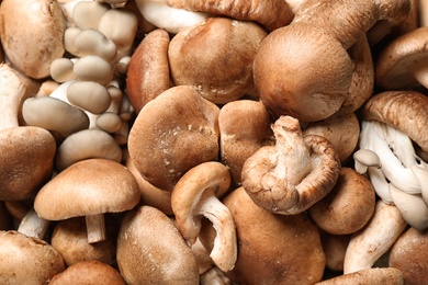 Fresh wild mushrooms as background, top view. Edible fungi