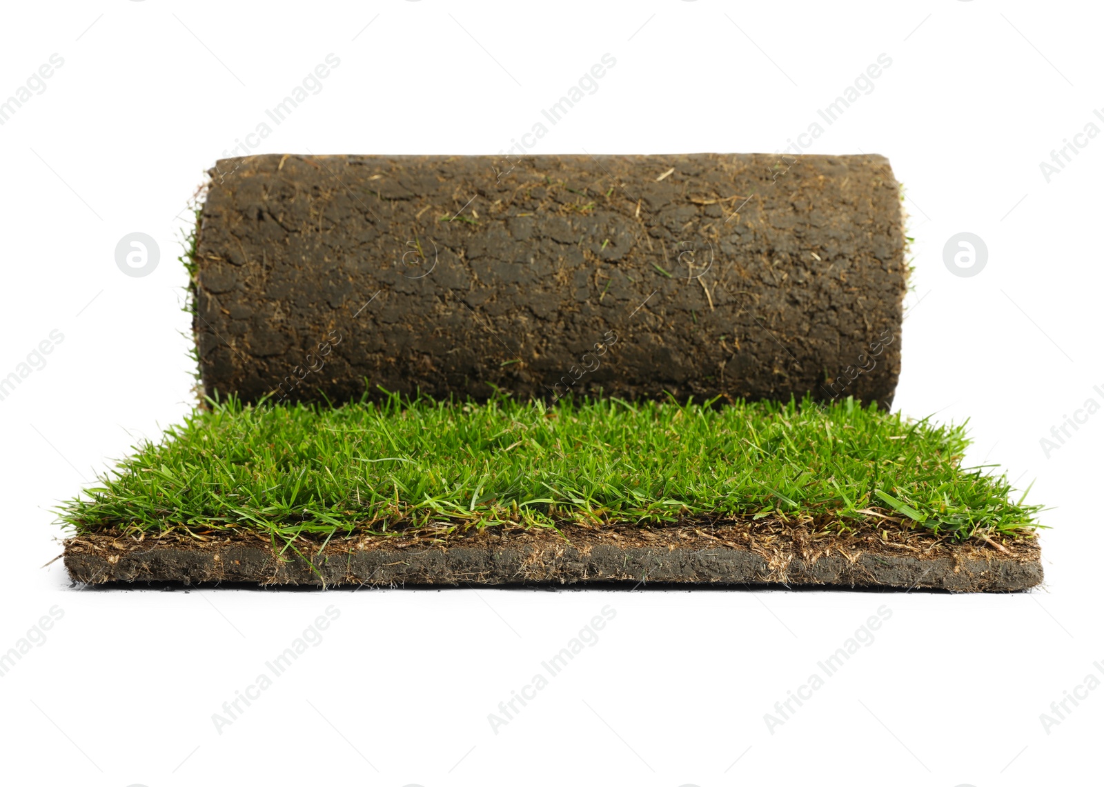 Photo of Rolled sod with grass on white background