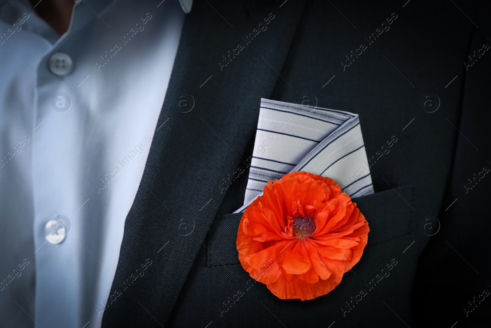 Image of Man with with red poppy flower in suit pocket, closeup view. Remembrance symbol