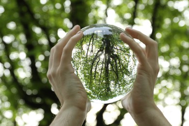 Beautiful green trees outdoors, overturned reflection. Man holding crystal ball in park, closeup