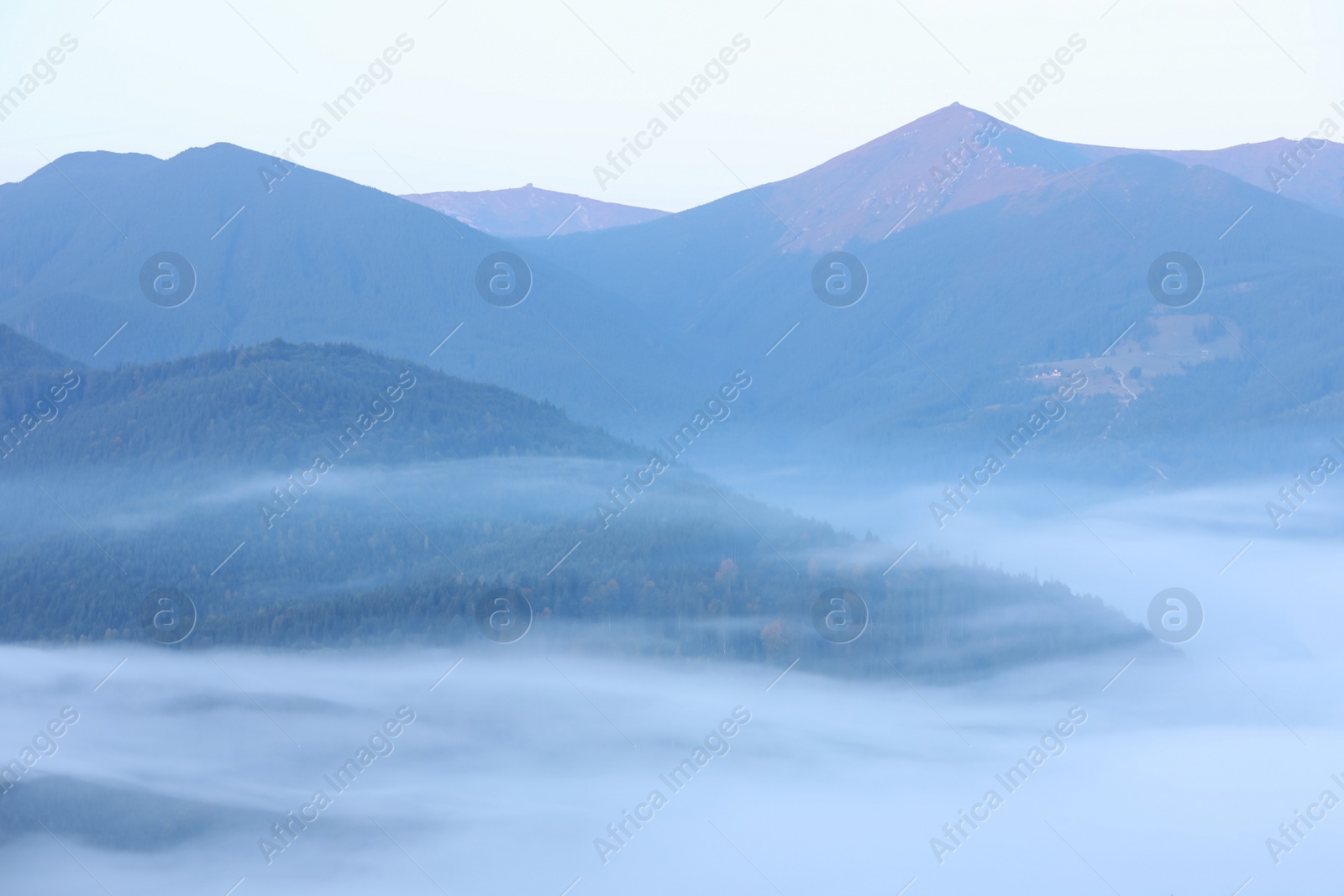 Photo of Beautiful view of foggy mountains covered with forest