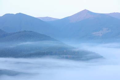 Photo of Beautiful view of foggy mountains covered with forest