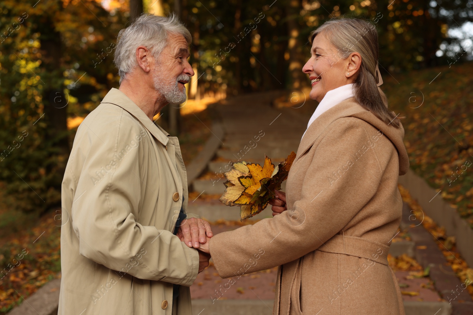 Photo of Affectionate senior couple with dry leaves in autumn park