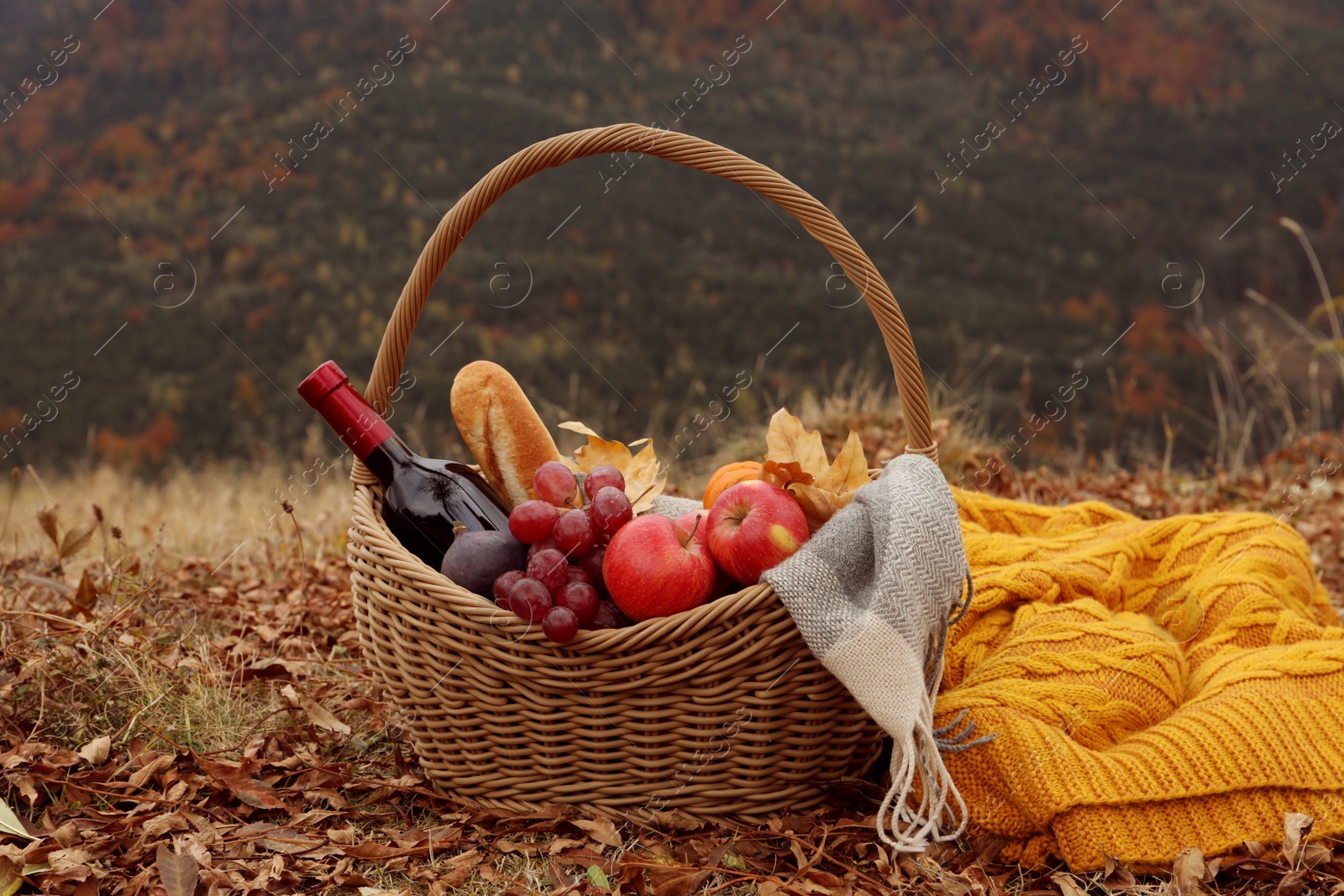 Photo of Wicker picnic basket with wine, snacks and plaid in nature on autumn day