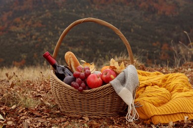 Photo of Wicker picnic basket with wine, snacks and plaid in nature on autumn day