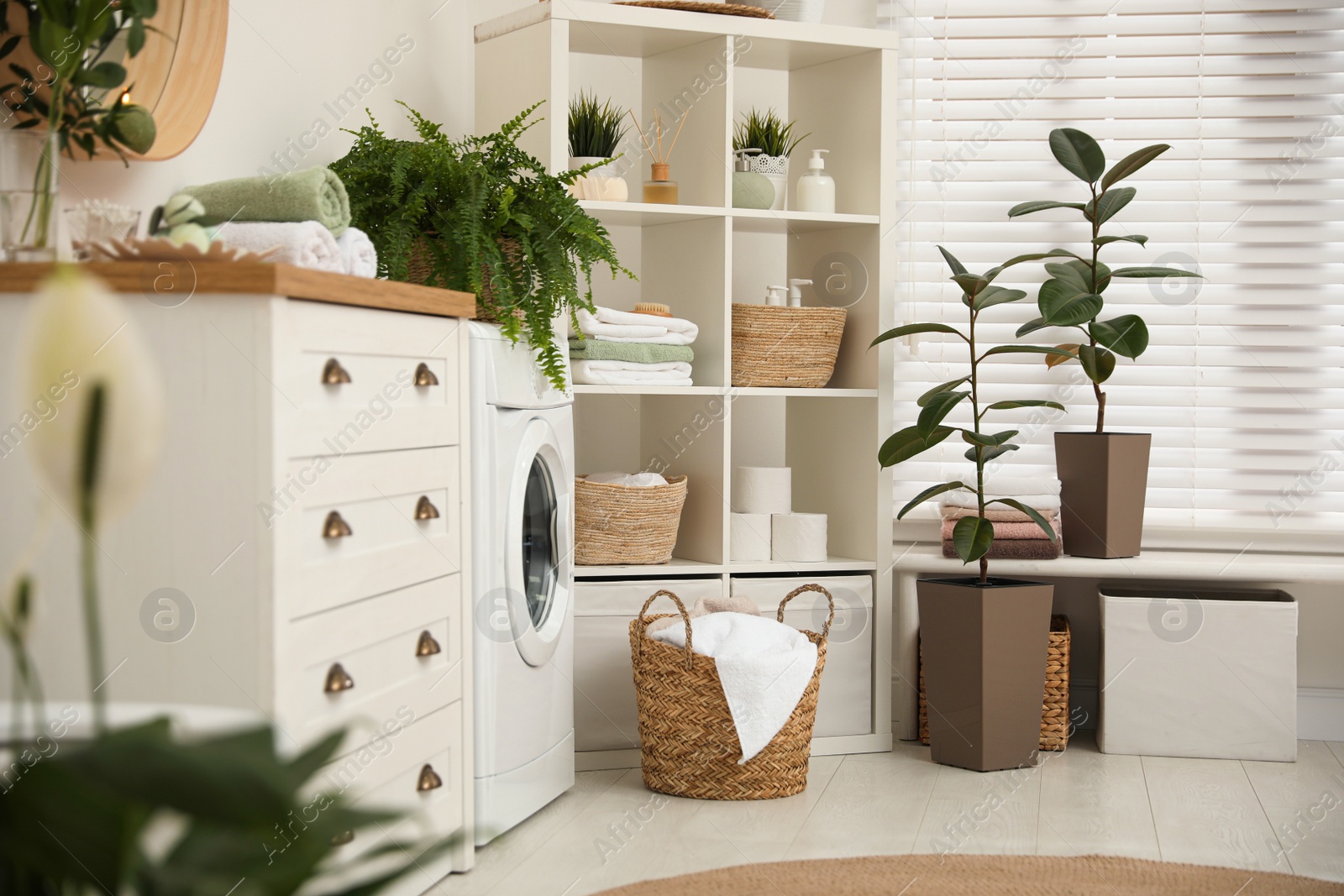 Photo of Elegant interior of modern bathroom with green plants