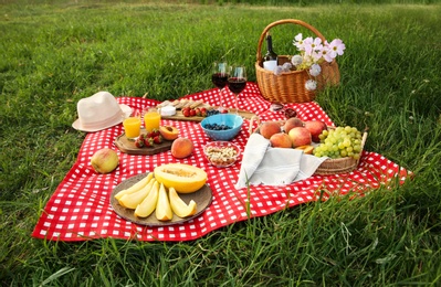 Picnic blanket with delicious food and drinks on green grass