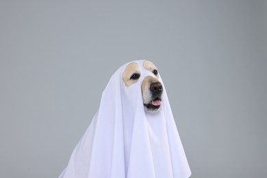 Cute Labrador Retriever dog wearing ghost costume for Halloween on light grey background