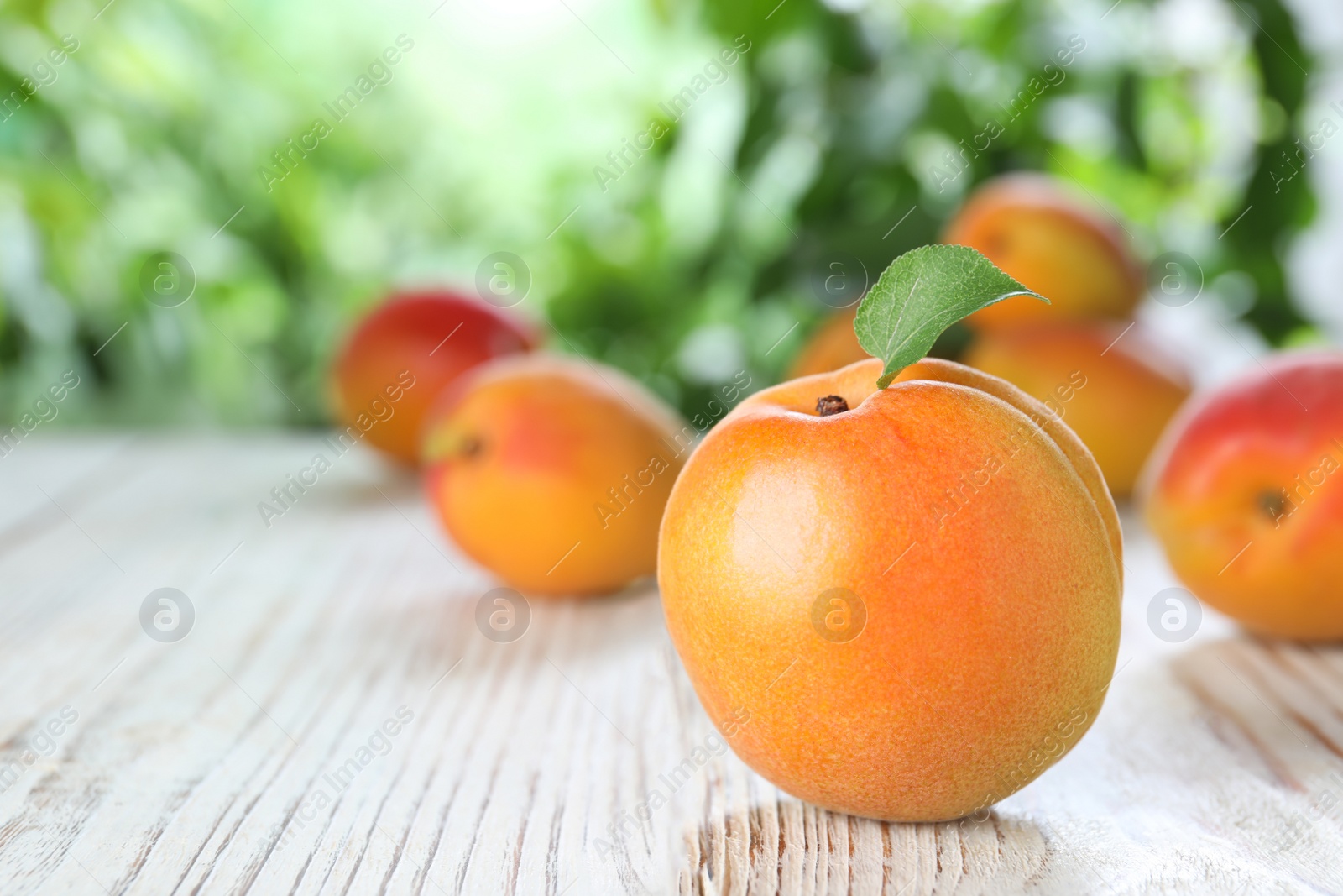 Photo of Fresh ripe apricots on white wooden table against blurred background. Space for text