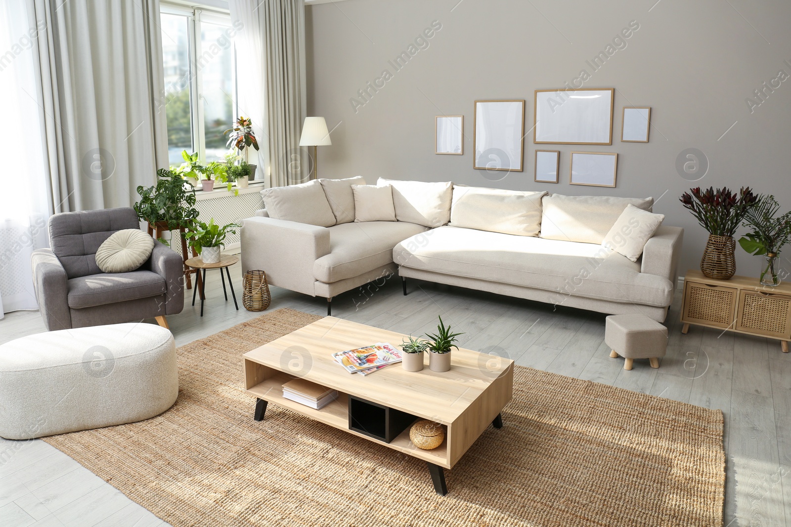 Photo of Beautiful living room interior with comfortable sofa