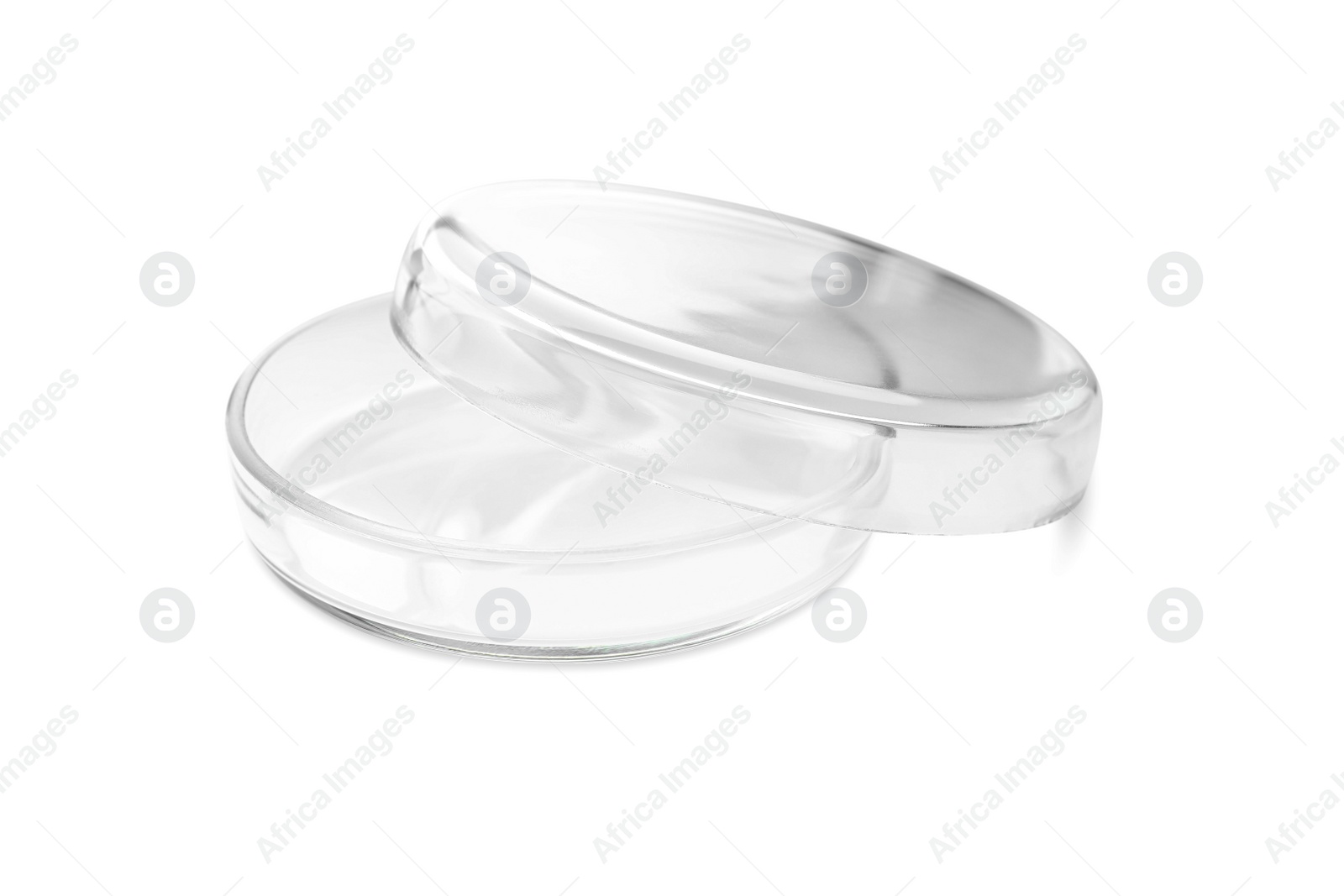 Photo of Empty glass Petri dishes isolated on white